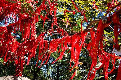 还没上线的游戏《矩阵：零日危机》，居然主动求玩家拷打？