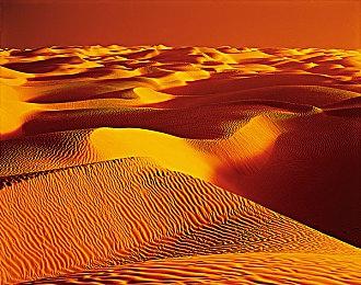 《师父》春季内容更新现已推出 三个难度选项可供选择